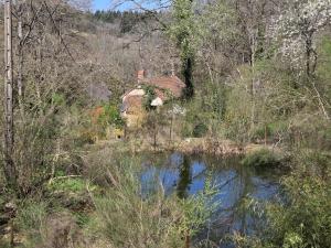 Jolie roulotte tsigane en pleine nature