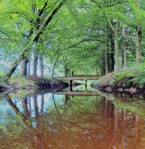 b&b de parel van haelen
