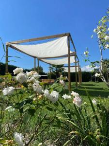 Giardino con piscina per feste ed eventi