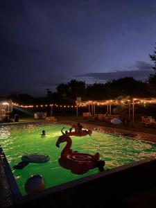 Giardino con piscina per feste ed eventi