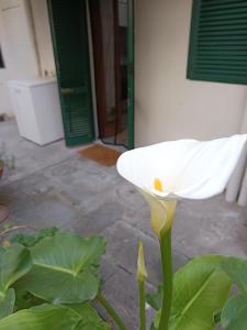 Savonarola Home Florence Italy