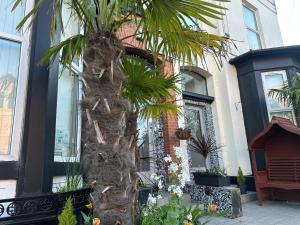 Hendham House - Near Etihad Stadium, CoOp Live Arena, AO Arena, Piccadilly Train Station & Manchester City Centre