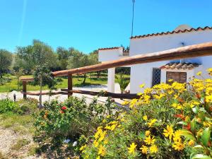 Casa Encantada - Villetta immersa nel verde a pochi minuti dal mare