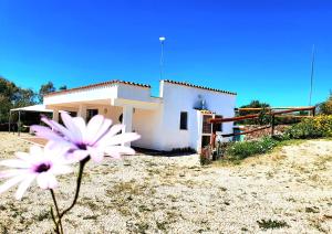 Casa Encantada - Villetta immersa nel verde a pochi minuti dal mare
