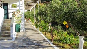 Stone Kypri Apartment Andros