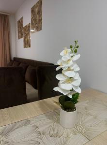 Prenoćište SILVER LUX Srebrno Jezero