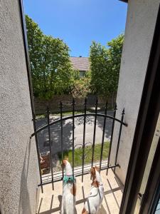 Balaton Vibe Apartman Füred