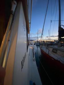 Corralejo Boat Experience