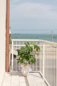 Dimora Caprera - Appartamenti