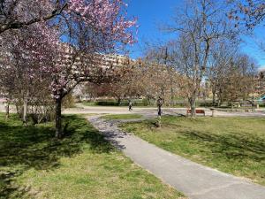 Sunny Seaside Apartment in Green Area close to beach Pet friendly