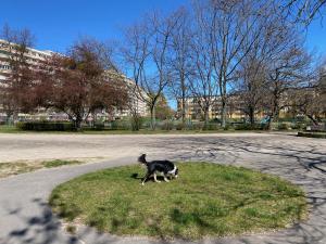 Sunny Seaside Apartment in Green Area close to beach Pet friendly