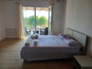 Apartment Conte