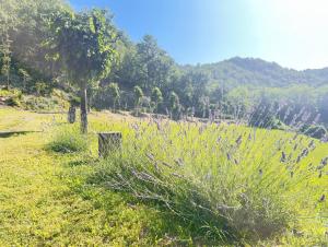 Relaxing room with pool near Acqui Terme