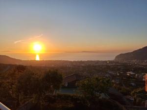 Buckingam Sorrento