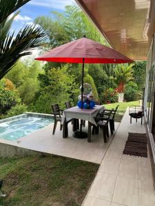 Casa Campo Palma de Asaí