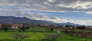 Calm And Nature