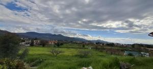 Calm And Nature