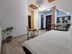 Dixi Studio