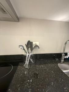 Asuncion Gracia Suite La Cuadrita