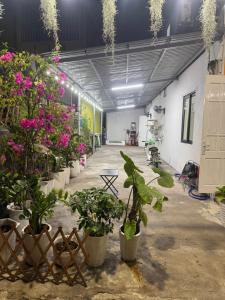 homestay miumiu