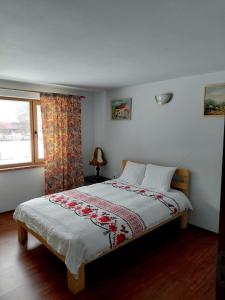 Cabana Țibleș Bichigiu