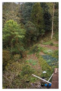 But n Ben Homestay, Dawaipani