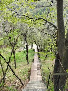 Mura Doftana