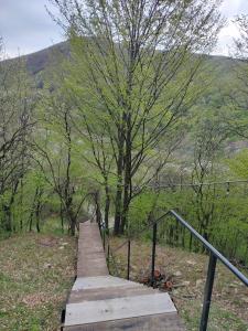 Mura Doftana