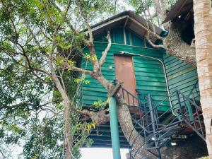 Eco Tree House Yala