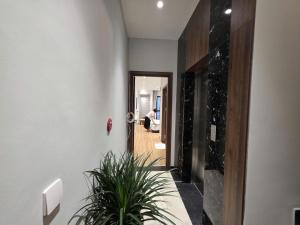 Cozy Nest Homstay Ha Long