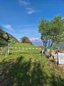 Casa Nel Bosco