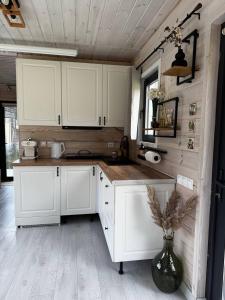 Element House Karpaty
