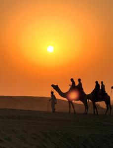 Desert Stay Camping Jaisalmer Sam Sand Dunes