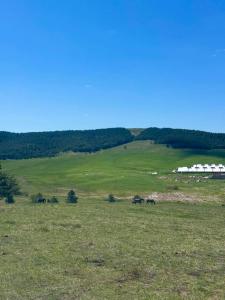 Villa Montaigne Apartman 9 Hit