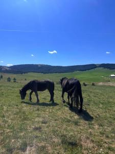 Villa Montaigne Apartman 9 Hit