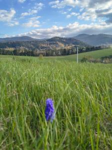 "RYVILLA" Dom na Wilkówce