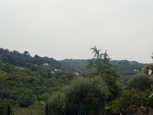 Casa Limone