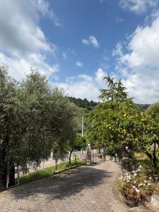 Casa Limone