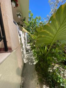 Vlora Backpackers Hostel & Bar LUNGOMARE