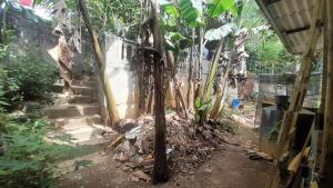 Ice mango homestay Badulla