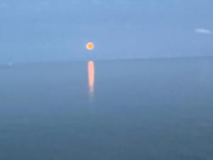 Hotel Havenzicht Texel