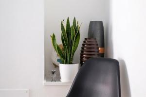 Canal View House - 2BR with Garden & Parking