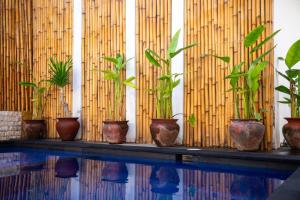 Gili Ocean Club - ADULTS ONLY