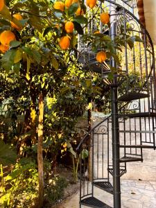 Marys Country Villa - Villa in charming and amazing Sorrento Coast