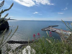 Casa Raffy - Relax near Sorrento and Amalfi Coast