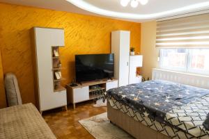 Apartman Paulina Premium