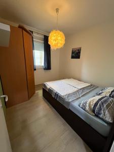 Green Nest Apartment