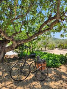 Camping Ciudad del Ciclismo- Bungalow