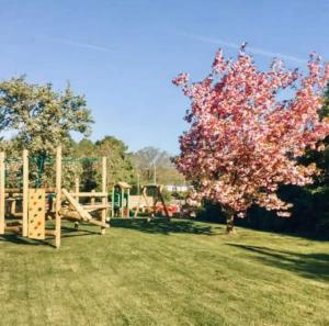 Deer View Escape - 8 Berth Retreat - Malvern View Holiday Park