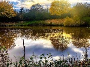 Deer View Escape - 8 Berth Retreat - Malvern View Holiday Park